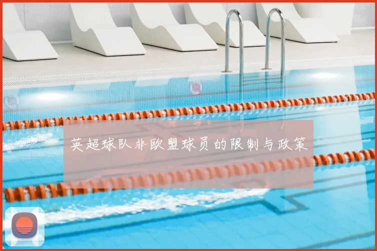 英超球队非欧盟球员的限制与政策