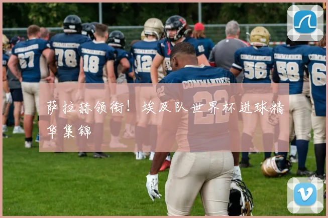 萨拉赫领衔！埃及队世界杯进球精华集锦