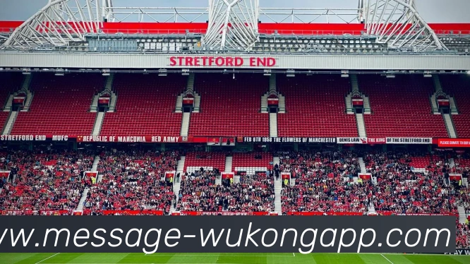 悟空体育平台生态图