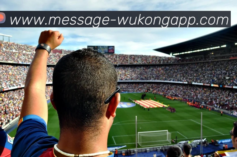 悟空体育APP 封面图